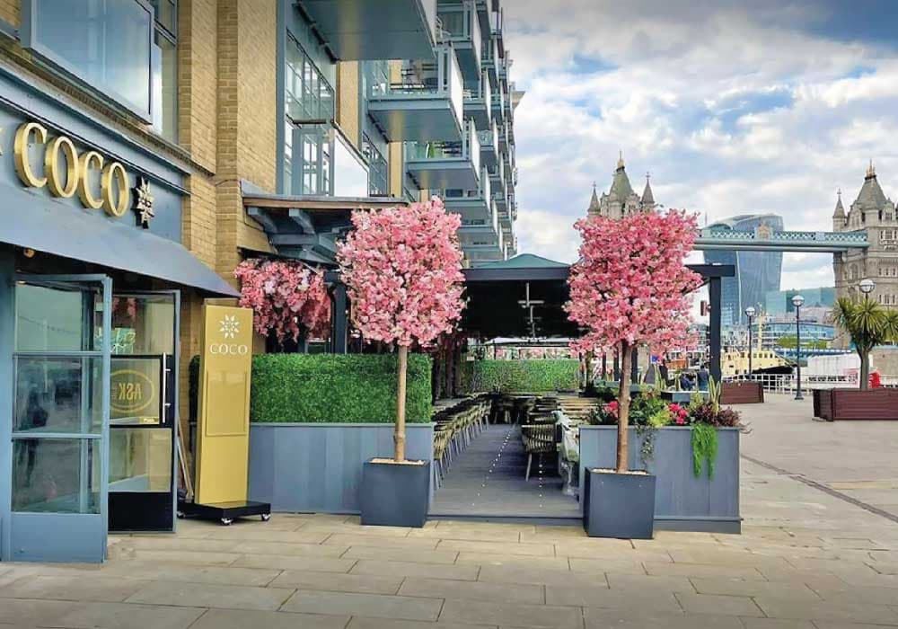 Giulio Barbieri · Qzebo · COCO, London